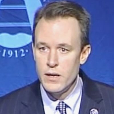 Ed FitzGerald, Gubernatorial candidate