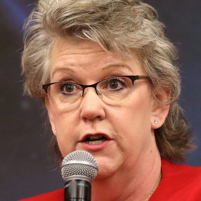 Julianne Murray, Gubernatorial candidate