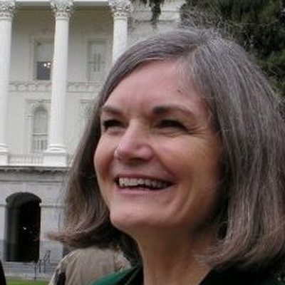 Laura Wells, U.S. House candidate