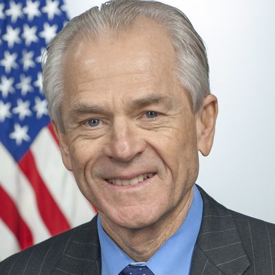 Peter Navarro, U.S. House candidate