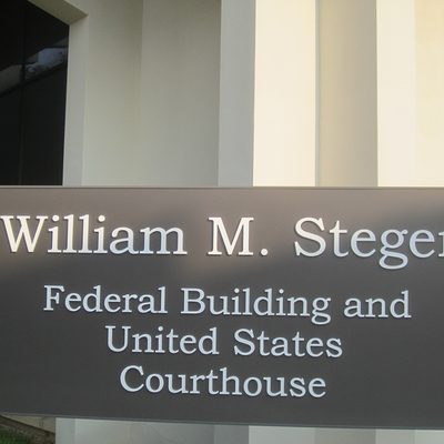 William Steger, Gubernatorial candidate